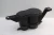 2010 Audi A5 8K0201799G Used OEM EVAP Vapor Charcoal Canister