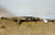 2008-2014 Subaru IMPREZA Turbo Steering Rack and Pinion Assembly WRX 2.5L OEM used OEM rack and pinion