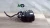 2019-2023 Chevrolet Malibu Used OEM EVAP Vapor Charcoal Canister