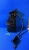 1994-1996 Chevrolet S10 2.2L Used OEM EVAP Vapor Charcoal Canister