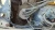 Chevrolet Malibu Used OEM EVAP Vapor Charcoal Canister