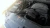 2013 Chevrolet Avalanche Used OEM EVAP Vapor Charcoal Canister