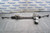 2018 INFINITI Q50 3.0L RWD OEM EPS STEERING RACK N PINION 5CAD10ABL #7168 used OEM rack and pinion