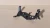 2003-2006 Honda Element Used OEM EVAP Vapor Charcoal Canister
