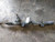 2011-2014 Dodge Charger / Chrysler 300 Power Rack & Pinion AWD With Warranty OEM used OEM rack and pinion