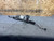 HONDA CIVIC SI 17-20 FWD EPS ELECTRIC POWER STEERING GEAR RACK & PINION OEM 50K used OEM rack and pinion