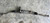 1996-2002 BMW E36 Z3 ROADSTER 2.5L M52 POWER STEERING RACK & PINION OEM 78k used OEM rack and pinion