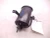 1996 Lexus 3.0L Used OEM EVAP Vapor Charcoal Canister