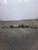 2005-2012 Toyota Avalon 3.5L Steering Gear Rack and Pinion OEM used OEM rack and pinion