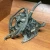 1996-2004 Toyota Tacoma Used OEM EVAP Vapor Charcoal Canister
