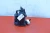 2007-2011 Volvo S80 3.2L Used OEM EVAP Vapor Charcoal Canister