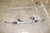 12-15 Honda Civic EX Coupe 1.8L Electric Power Steering Rack & Pinion Motor OEM used OEM power steering motor