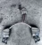 2012 Audi A5 3.0L AWD Used OEM Exhaust Muffler