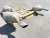 2013-2016 Audi A4 Left & Right Used OEM Exhaust Muffler