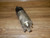 Mopar Steering Rack and Pinion Motor A012E715 (68509191AD) OEM used OEM power steering motor