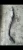 2013 Audi A7 3.0L Right/Passenger Front Used OEM Exhaust Muffler