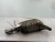 2003-2006 Audi A4 1.8L Left/Driver Rear Used OEM Exhaust Muffler