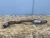 2013-2015 Audi RS5 4.2L Left/Driver Used OEM Exhaust Muffler