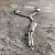 2024 Audi S5 Used OEM Exhaust Muffler