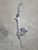 2010 Mini Cooper Clubman Power Steering Rack and Pinion Gear OEM used OEM rack and pinion