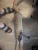2008-2011 BMW 3 Series Used OEM Exhaust Muffler