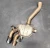 2018-2020 BMW M5 Left/Driver Rear Used OEM Exhaust Muffler