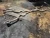 2012-2018 BMW M6 Used OEM Exhaust Muffler