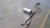 2015-2019 Buick Cascada 13437656 13423332 Used OEM Exhaust Muffler
