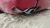 2001 Cadillac Eldorado Left/Driver Rear Used OEM Exhaust Muffler