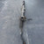 2009 NISSAN GT-R GTR R35 VR38 3.8L OEM STEERING RACK N PINION ASSY used OEM rack and pinion