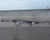 2015 Nissan Pathfinder RACK AND PINION OEM used OEM rack and pinion