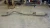 2018 Ford Transit 3.2L Rear Used OEM Exhaust Muffler