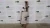 2020-2025 Ford Transit LK415K254BD Used OEM Exhaust Muffler