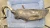 1991 Honda Used OEM Exhaust Muffler