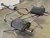 2007 Honda S2000 Rear Used OEM Exhaust Muffler