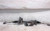 2017-2023 AUDI A4 Steering Gear Rack & Pinion OEM 17-23 used OEM rack and pinion