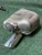 2019 Honda Right/Passenger Rear Used OEM Exhaust Muffler