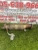 2018 Hyundai Accent Used OEM Exhaust Muffler