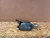 2011-2019 Infiniti M56 Right/Passenger Rear Used OEM Exhaust Muffler