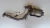 Infiniti QX70 Used OEM Exhaust Muffler