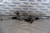2021 HONDA CIVIC TYPE R FK8 K20C1 OEM EPS STEERING RACK N PINION #9587 used OEM rack and pinion