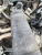 2003-2005 Land Rover Range Rover Rear Used OEM Exhaust Muffler