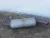 2006-2009 Land Rover Range Rover 4.4L Rear Used OEM Exhaust Muffler