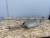 2016-2022 Lexus RX350 Used OEM Exhaust Muffler