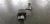Lexus RC F Left/Driver Used OEM Exhaust Muffler