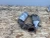 2016-2022 Lexus RX350 Left & Right Used OEM Exhaust Muffler