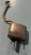 2016-2017 Lexus Right/Passenger Rear Used OEM Exhaust Muffler