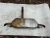 2020 Mercedes-Benz Rear Used OEM Exhaust Muffler