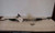 2009-2012 Audi Q5 Steering Gear Rack & Pinion OEM used OEM rack and pinion