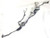2022 2023 Nissan Pathfinder OEM Steering Gear Rack Power Pinion 490016SA0C used OEM rack and pinion